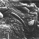 Electron microscopy revealed worm-like features on the meteorite.